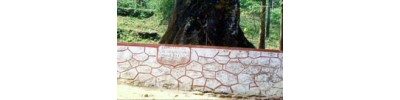 சபரி மலைக்குச் செல்லும் வழியில் உள்ள திருத்தலங்கள்